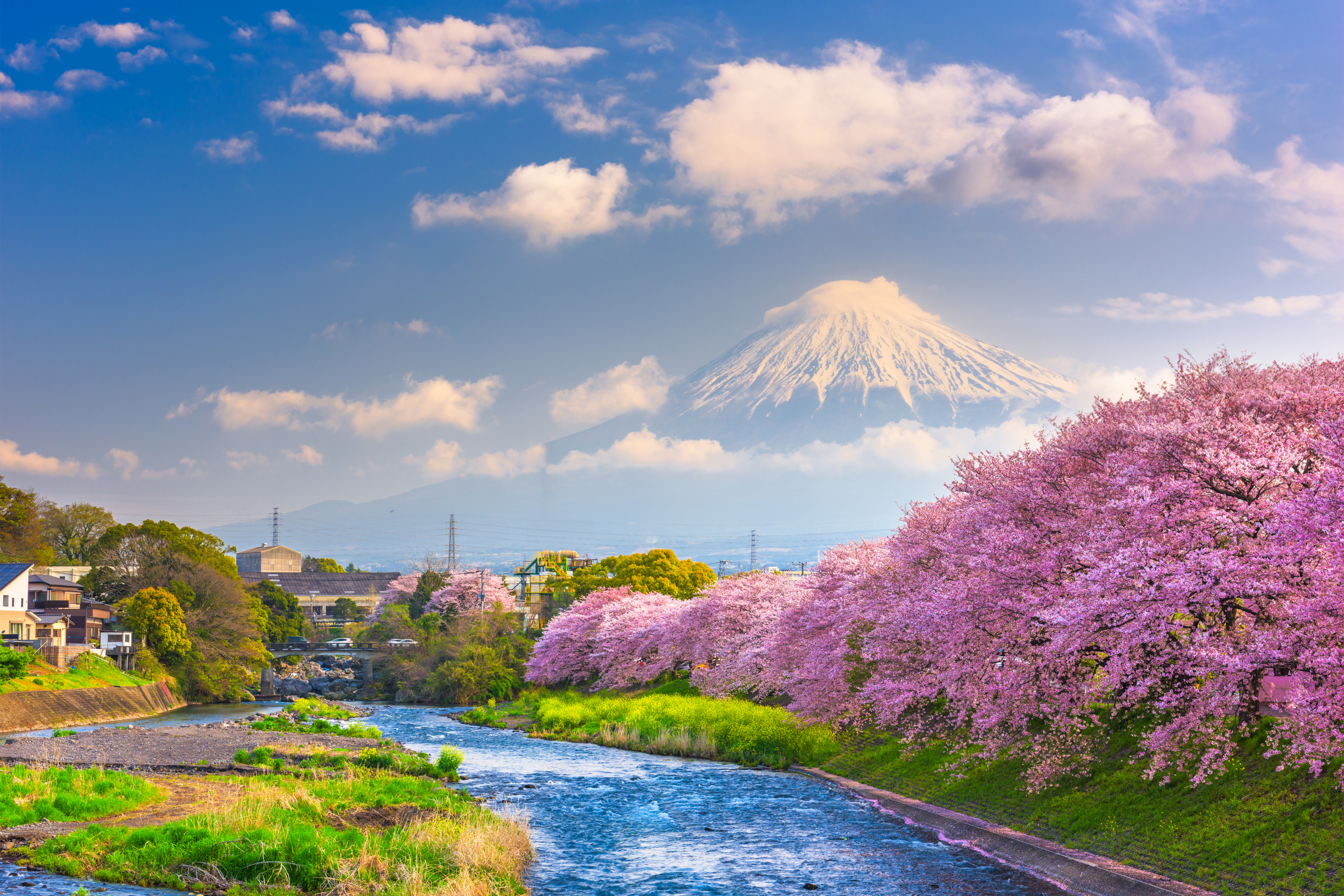 hanamaki (4).webp